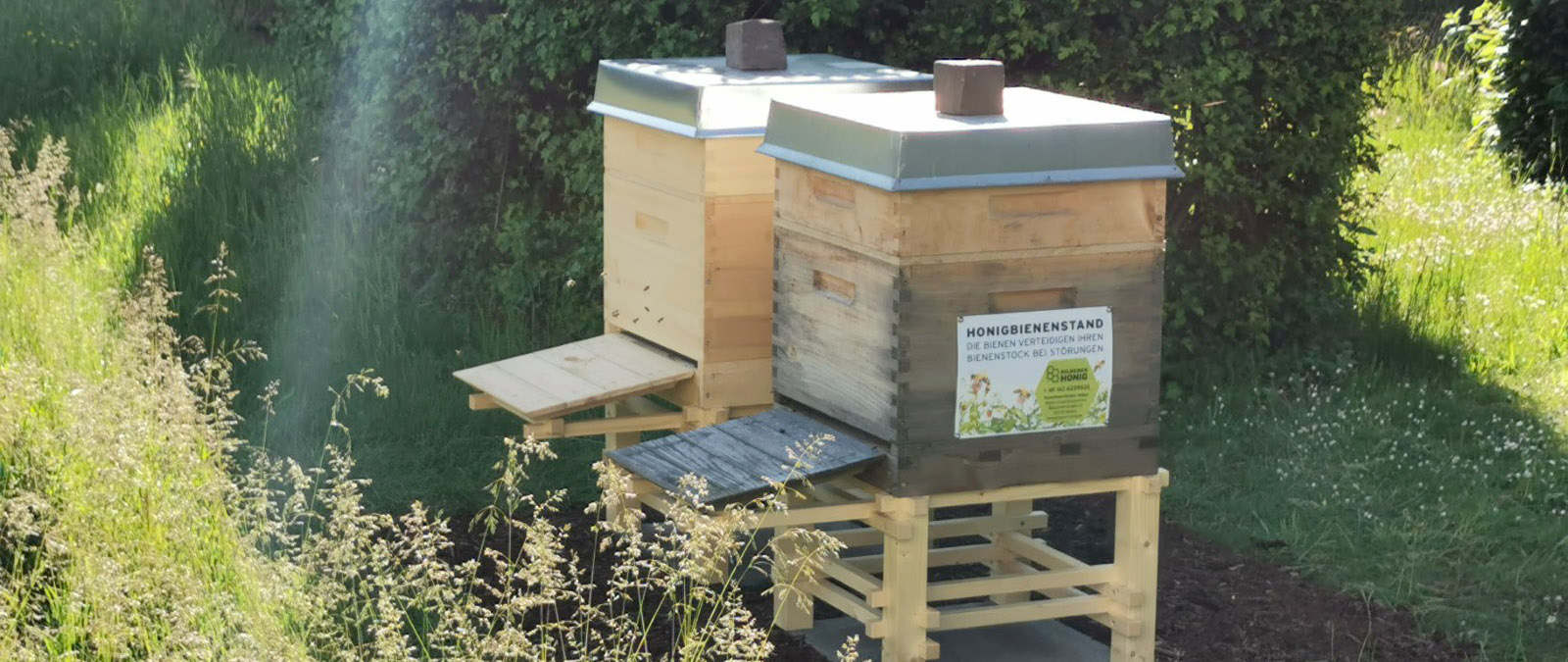 beehives