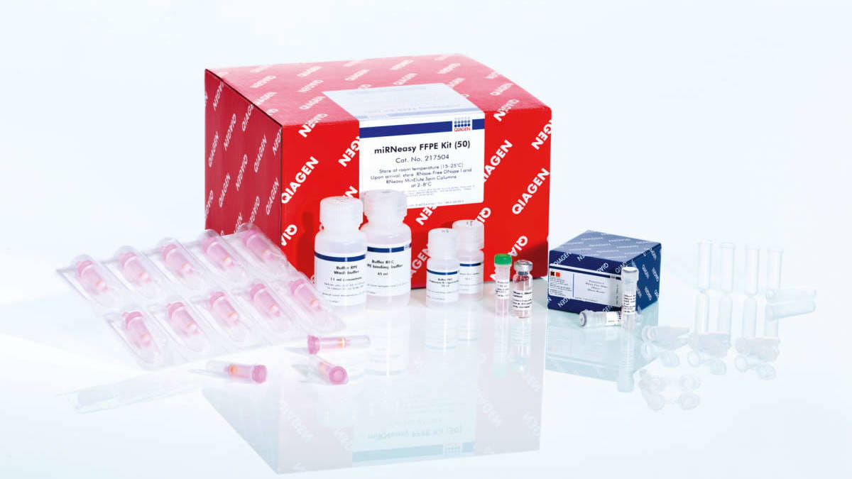 FFPE samples image