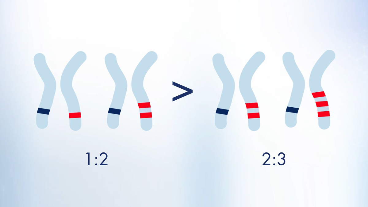 Copy variation
