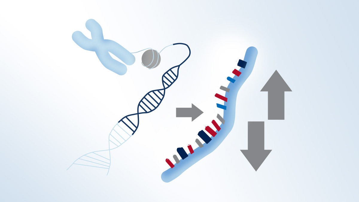 gene expression analysis