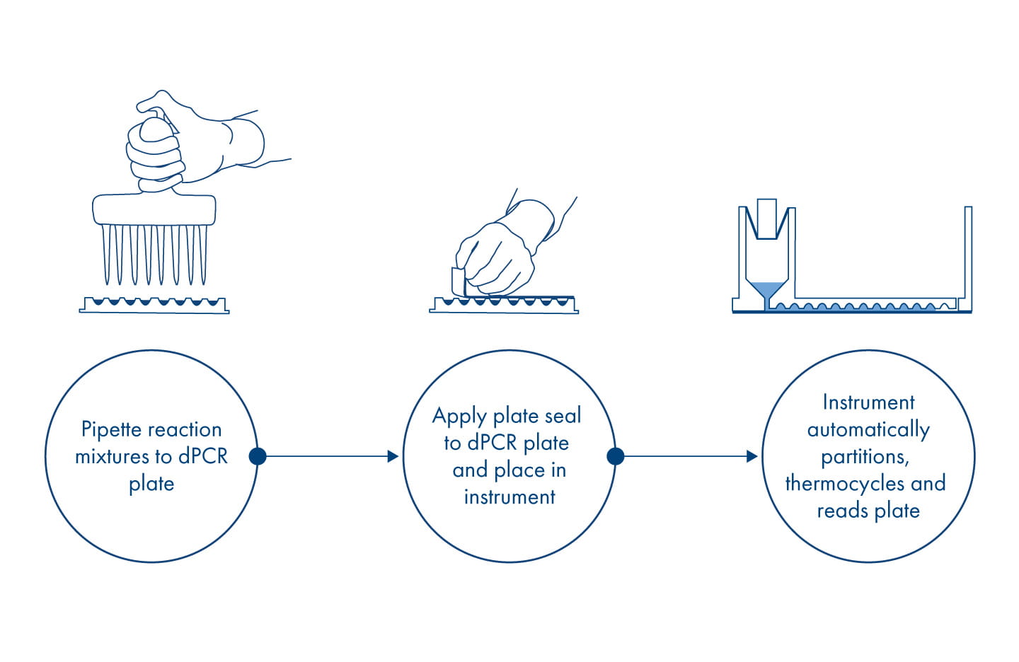 pcr dpcr qiacuity workflow