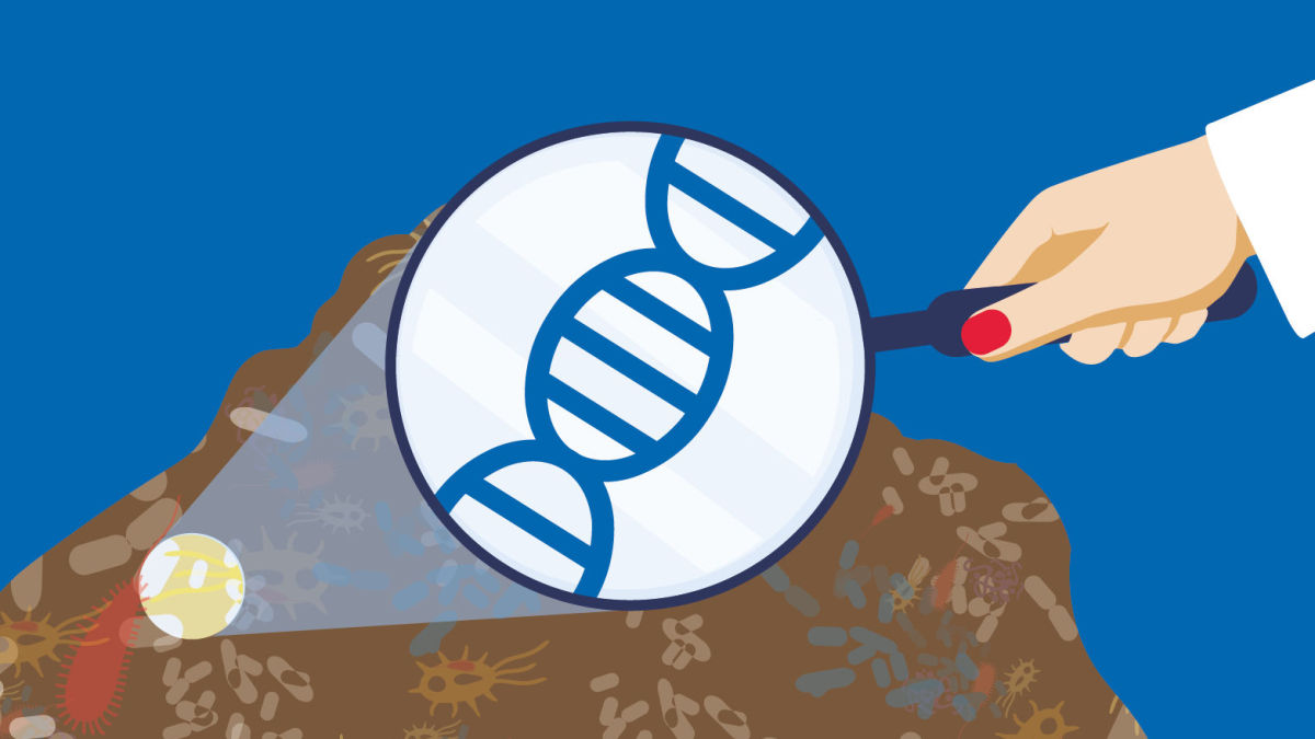 Soil DNA