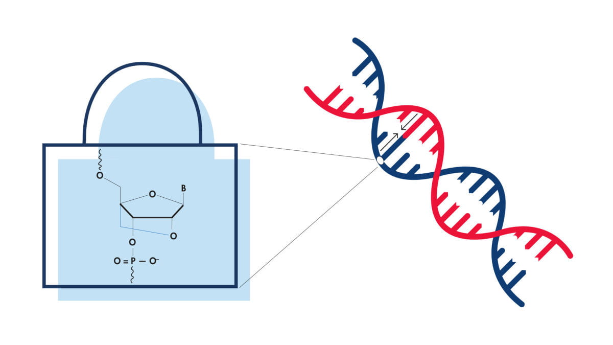 Analyze miRNA sequencing data anytime, anywhere 