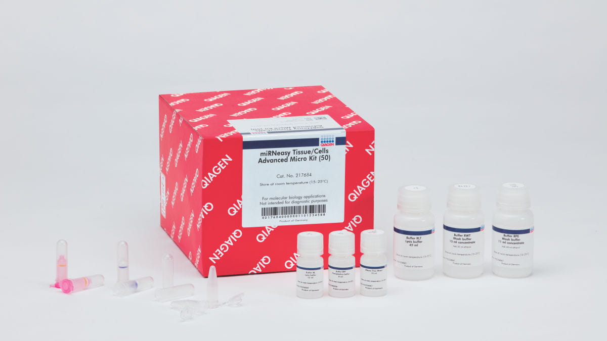 miRNA isolation from cells and tissue 