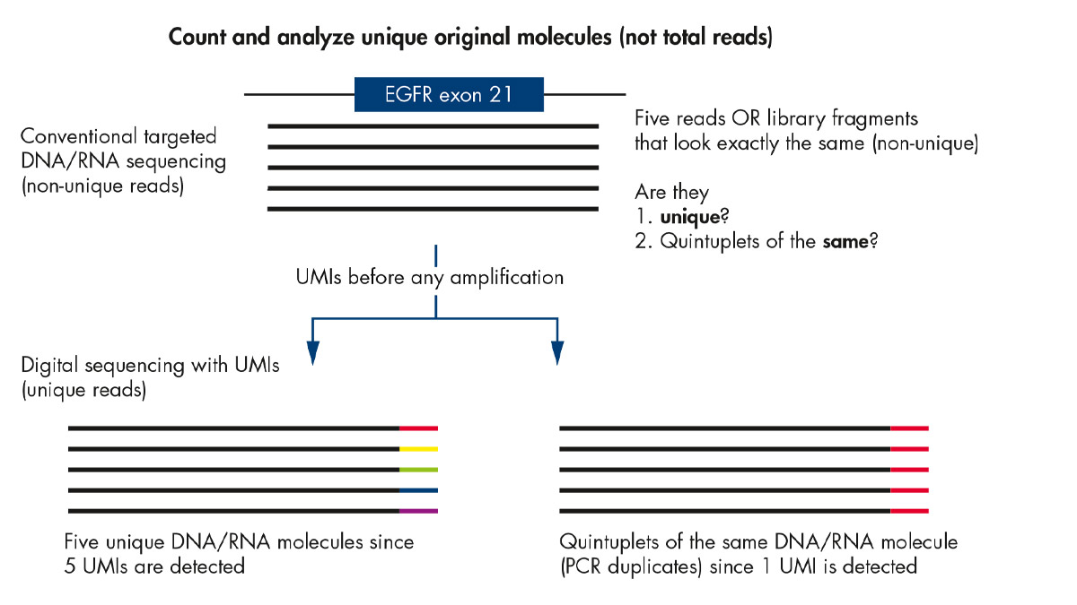 before infographic