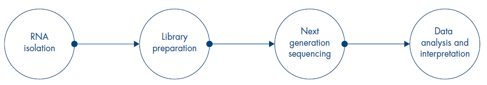 immune workflow