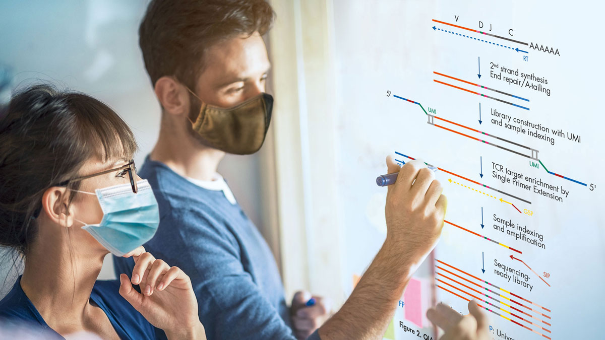 Service Profile for Immune Repertoire Profiling Services 