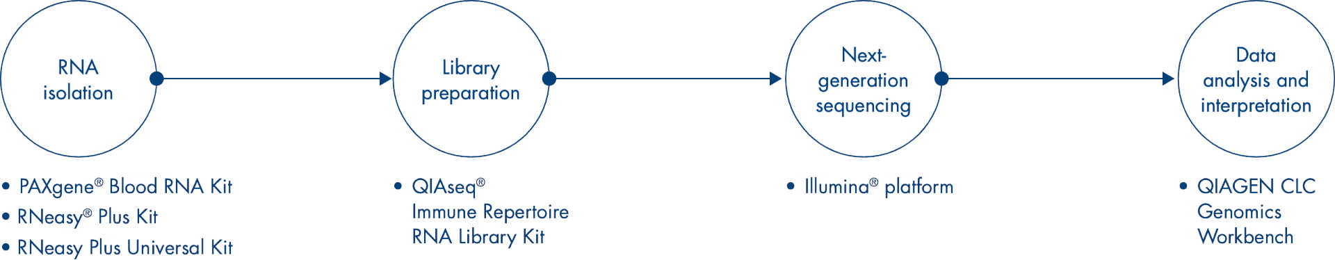 workflow infographic