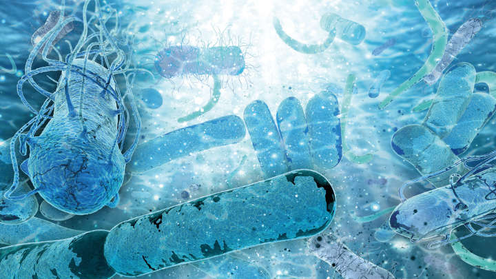 Water Microbiome