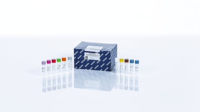QIAseq Targeted RNA Extended Panel (96)
