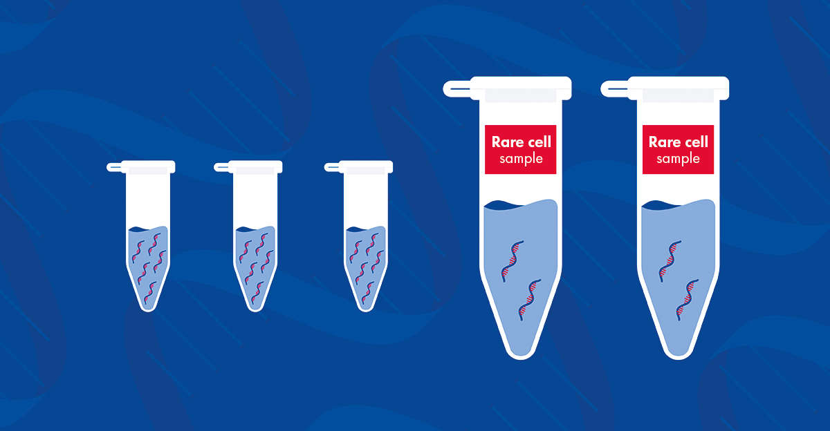 tubes illustration