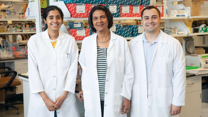 Houston lab, people