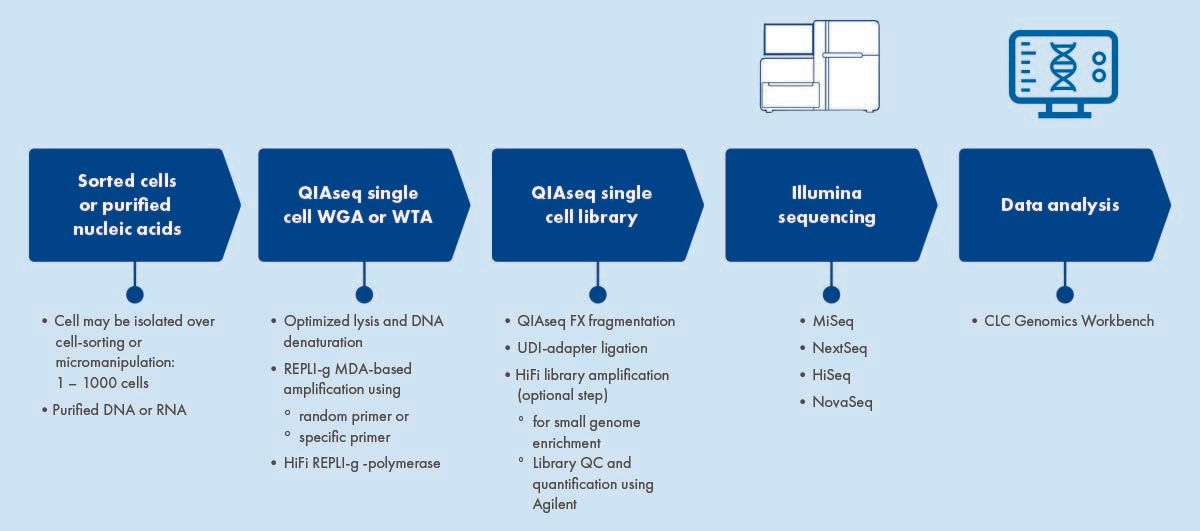 single cell infographic