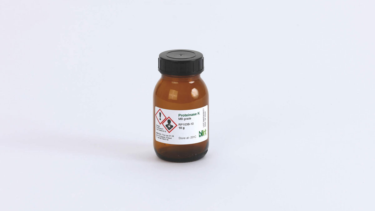 Enzyme Proteinase K 10g BLIRT