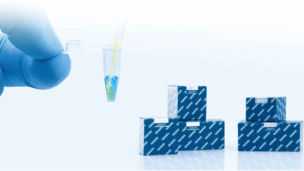 qPCR