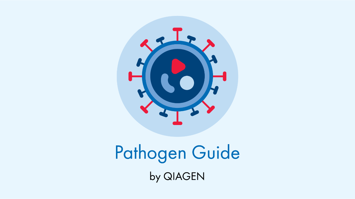 pathogen guide image, qiagen