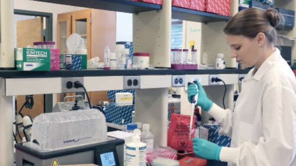 Anna Knight Lab