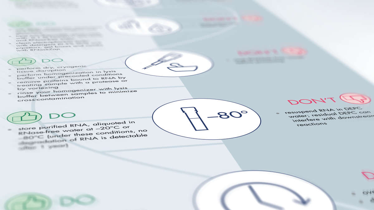 Technical Illustrations