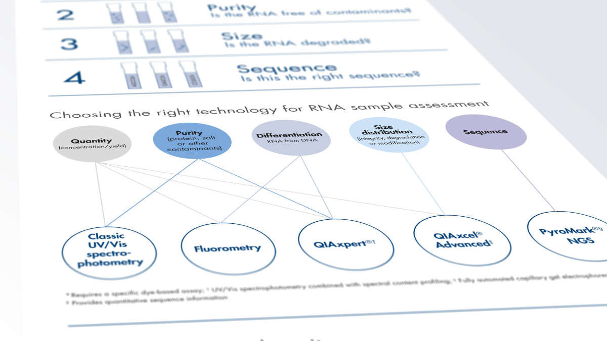 Infographic, RNA, quantity