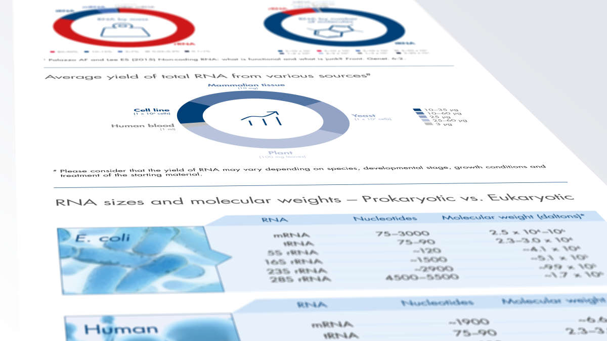  Infographic, RNA, Numbers