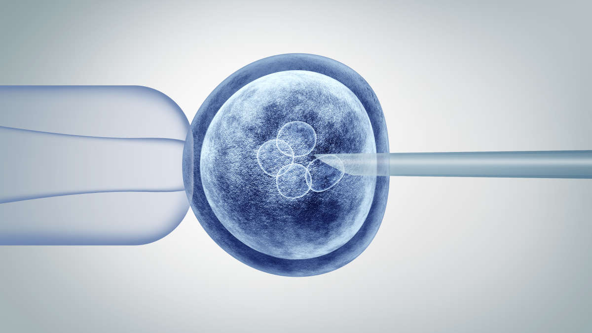 cell and gene editing, genetic editing and gene research, in vitro