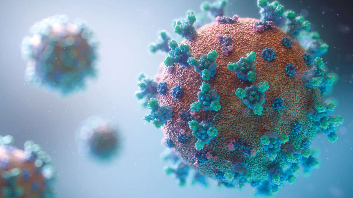 3d illustration of a corona virus
