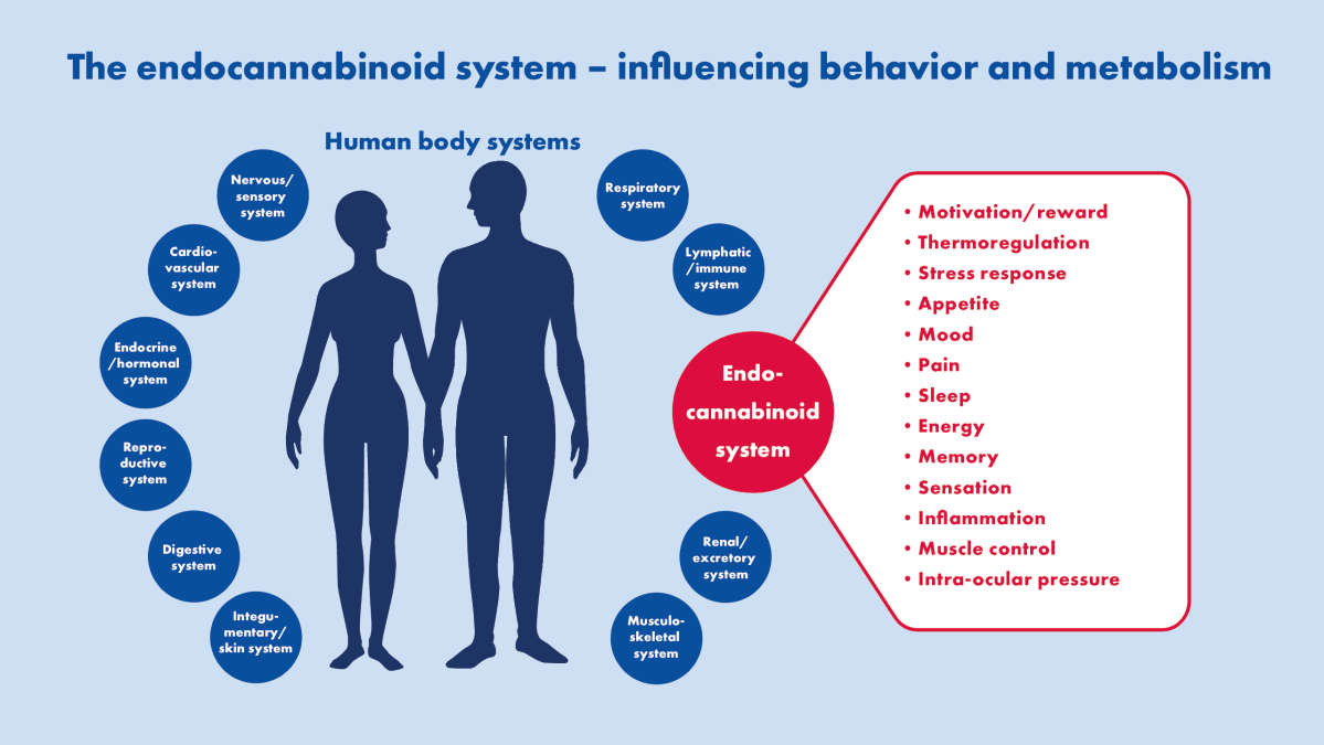 Human body systems