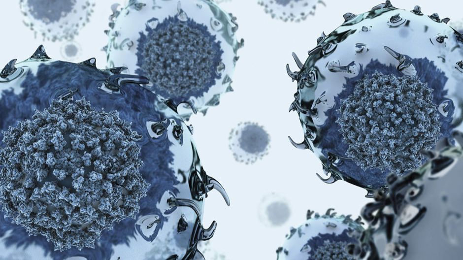 HCV, hepatits, QIAsymphony