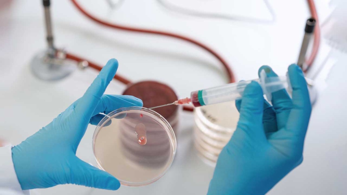 Laboratory